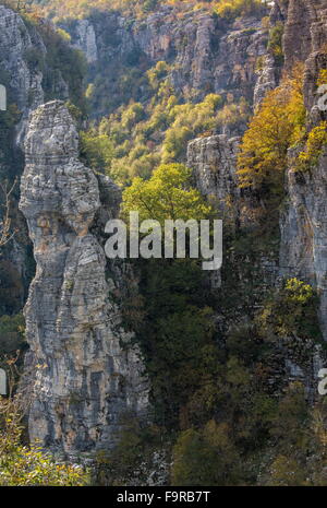 Pinnacles rock dans la vallée de la rivière Voidhomatis, Gorge de Vikos, ci-dessous Koukouli ; Parc National de vikos Aoos-, Zagori, Epirus Banque D'Images