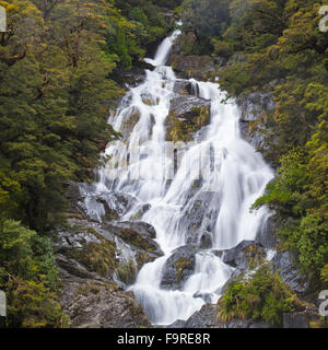 Fantail Falls, Mt aspirant National Park , Haast Pass, Région de la Côte Ouest (Île du Sud), Nouvelle-Zélande Banque D'Images