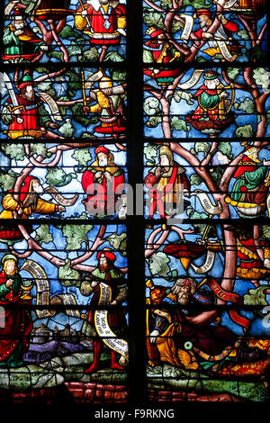 L'église Sainte Madeleine de Troyes. Vitrail. L'Arbre de Jessé. 1518. Banque D'Images
