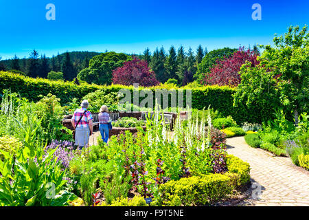 Le jardin potager coloré (un jardin de fleurs et de légumes) à RHS Rosemoor, North Devon, England, UK Banque D'Images