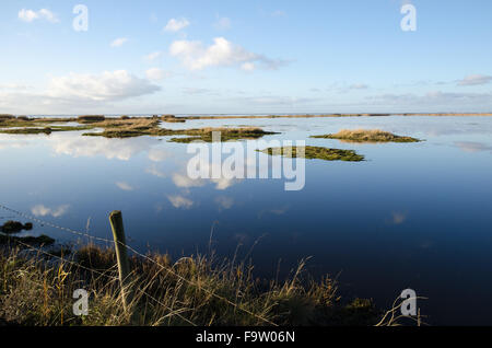 Des zones humides calme avec des nuages blancs se reflétant dans l'eau bleue Banque D'Images