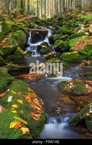 Cascade sur la Kleine Ohe Ohe Grafenauer / river in caduques, Parc National de la forêt bavaroise, Bavière, Allemagne Banque D'Images