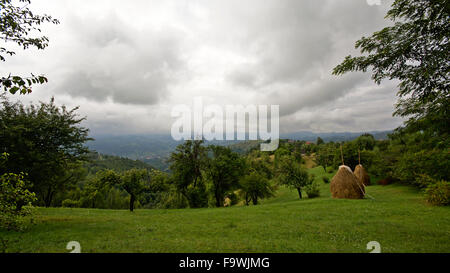 Paysage nuageux dans les montagnes Piatra Craiului, Roumanie Banque D'Images