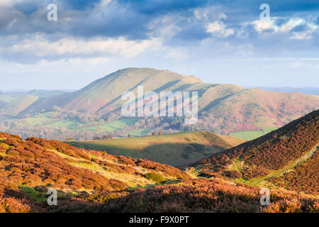 Heather Hills d'automne chaud inonde de lumière au coucher du soleil, dans la vallée de moulin à carder Church Stretton, Shropshire Banque D'Images