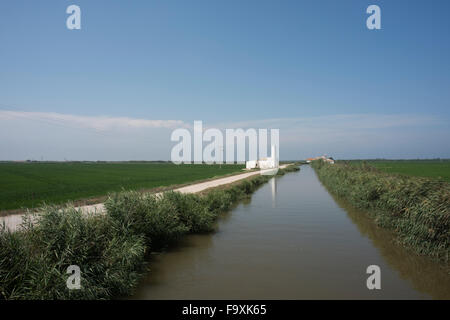 Vue sur les rizières du Parc Naturel de l'Albufera, Valence Banque D'Images