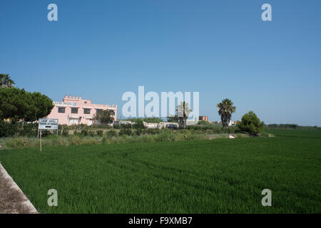 Vue sur les rizières du Parc Naturel de l'Albufera, Valence Banque D'Images