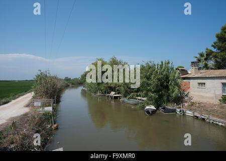 Vue sur les rizières du Parc Naturel de l'Albufera, Valence Banque D'Images