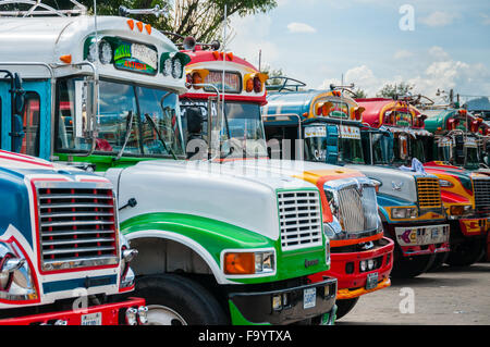 Jeepneys très coloré de camions bus dans un tableau Banque D'Images