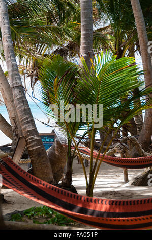 Gros plan du hamac pour se détendre chillout liée à des cocotiers sur la plage sur le maïs Islans Bar Banque D'Images