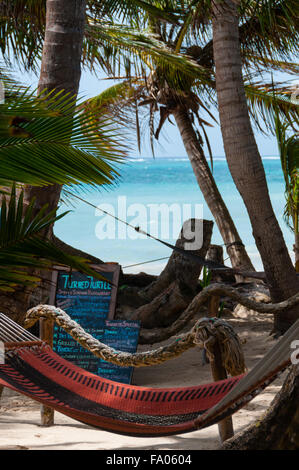 Gros plan du hamac pour se détendre chillout liée à des cocotiers sur la plage sur la petite Corn Island Bar Banque D'Images