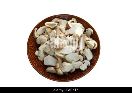 Couper la plaque brune dans boletus sur fond blanc Banque D'Images