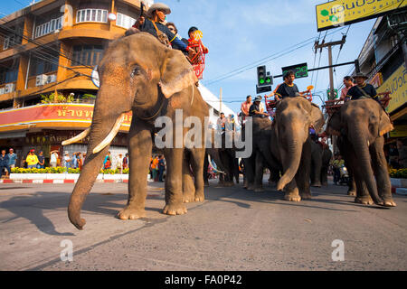 Troupeau d'éléphants et d'équitation marche au centre-ville de Surin passagers au cours de l'assemblée annuelle de l'éléphant Parade Roundup Surin Banque D'Images