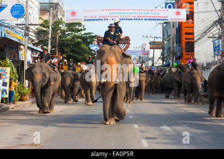 Un grand troupeau d'éléphants marchant lentement vers le bas une rue downtwon pendant le défilé lors de l'Assemblée Surin Roundup éléphant Banque D'Images