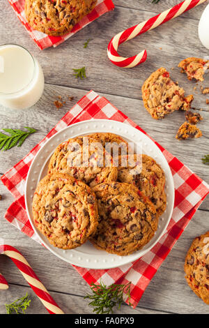 Peppermint Cookies au chocolat maison avec des cannes de bonbon Banque D'Images