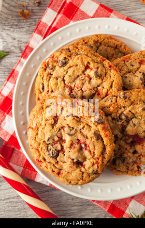 Peppermint Cookies au chocolat maison avec des cannes de bonbon Banque D'Images