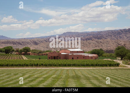 Angastaco, Argentine - 13 novembre 2015 : Photo du vignoble Bodega El CESE sur la route 40 dans le nord-ouest de l'Argentine. Banque D'Images