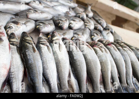 Le poisson frais sur le marché Banque D'Images