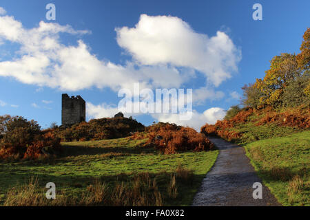 En Dolwydellan Betwsy automne château y Coed Conwy Wales Banque D'Images