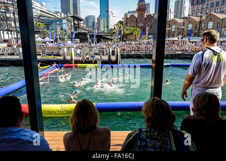 15.12.2015. Vue générale de la piscine et les spectateurs de la position des juges-arbitres sur le navire au cours de la visualisation par rapport à l'Australie pour hommes Italie International de water polo à Campbell's Cove à Sydney, Australie. Banque D'Images