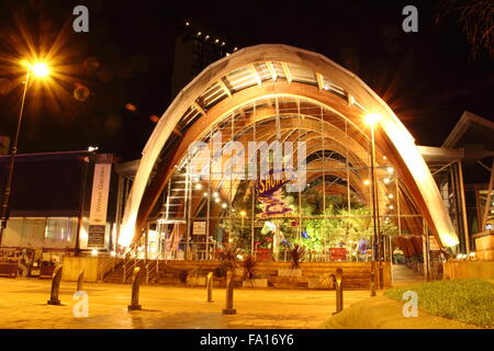 Le Jardin d'hiver sur la rue Surrey vu de Tudor Square dans le centre-ville de Sheffield - nuit, Décembre 2015 Banque D'Images