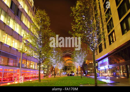 Le Jardin d'hiver vu de St Paul's Place en centre-ville de Sheffield, South Yorkshire, Angleterre, Royaume-Uni Banque D'Images