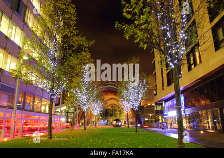 Le Jardin d'hiver vu de St Paul's Place en centre-ville de Sheffield, South Yorkshire, Angleterre, Royaume-Uni Banque D'Images