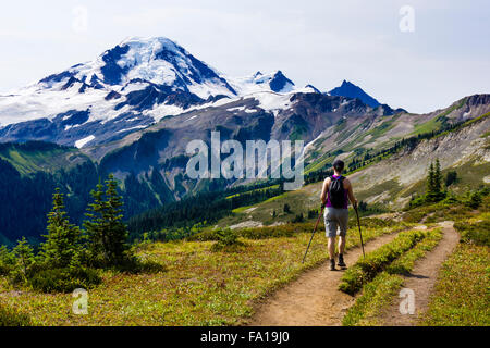 Sentier de randonnée de la fracture Skyline, Mt. Baker-Snoqualmie National Forest, Virginia, United States. Banque D'Images