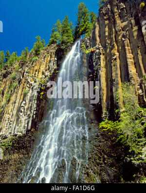 En cascade falls palissadique des orgues basaltiques plus dans le bassin du ruisseau hyalite près de Bozeman, Montana Banque D'Images