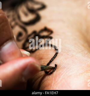 Dessin de tatouage au henné avec colorant à base de plantes sur pied design floral composition carrés gros plan macro Banque D'Images