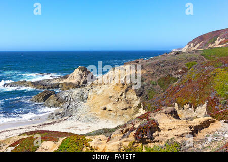 La Bodega Head promontoire de Bodega Bay. Banque D'Images