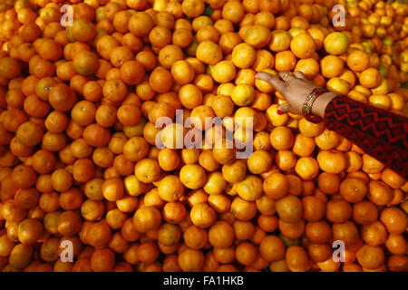 Katmandou, Népal. 18Th Oct, 2015. Mains d'une femme sont vus en photo picking oranges à un marché de fruits et légumes dans de Kalimati, Katmandou, Népal le Dimanche, Décembre 20, 2015. Le prix des oranges ont augmenté en raison de stock limité que les tensions actuelles entre les blocages frontaliers entre dans sa quatrième mois. Photo/Skanda Skanda Gautam Gautam © ZUMA/wire/Alamy Live News Banque D'Images