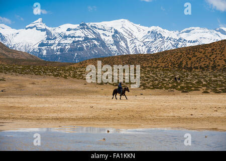 Un pèlerin bouddhiste monte un cheval en pèlerinage à un lac sacré entre les montagnes de l'Himalaya dans le Spiti Valley Banque D'Images