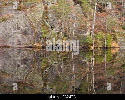 La fin de l'automne dans une forêt à Oslo en Norvège. Un petit lac, les reflets des arbres et des couleurs douces Banque D'Images