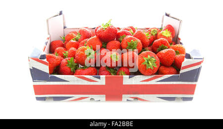 Grand de Punnett English fraises avec Union Jack sur un fond blanc Banque D'Images