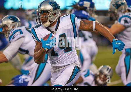 East Rutherford, New Jersey, USA. 18Th Oct, 2015. Le receveur des Panthers/punt returner Joe Webb (14) dans la seconde moitié au cours de l'action de la NFL entre les Panthers et les Giants de New York au Stade MetLife à East Rutherford, New Jersey. Les Panthère défait les géants 38-35. Duncan Williams/CSM/Alamy Live News Banque D'Images