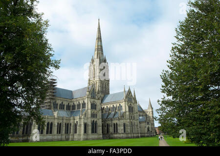 Extérieur de la cathédrale gothique du XIIIe siècle à Salisbury, où la Magna Carta est exposée, Salisbury, Wiltshire, Royaume-Uni Banque D'Images