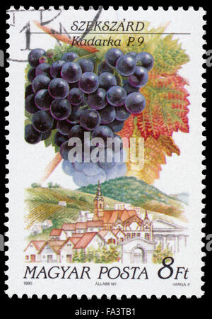 Hongrie - circa 1990 : timbre imprimé en Hongrie montre Kadarka Raisins et paysage de Szekszard Banque D'Images