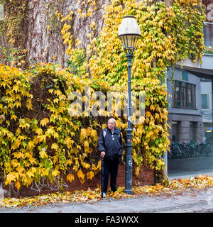 Vieil homme avec des béquilles sous le parapluie d'éclairage de rue avec abat-jour à l'automne à Berlin Banque D'Images