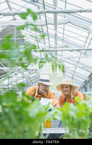 Deux jardiniers travaillant en serre, Augsbourg, Bavière, Allemagne Banque D'Images