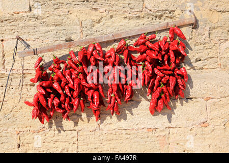 Piment rouge séchant au soleil, Vejer de la Frontera, province de Cadiz, Espagne Banque D'Images