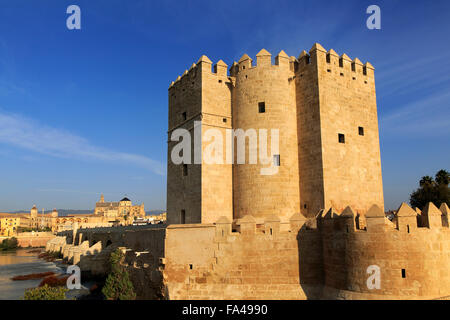 Torre de la Calahorra tour médiévale, pont romain, Cordoba, Espagne Vue de grande Mosquée de Cordoue Banque D'Images