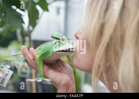 Woman kissing une grenouille en métal garden centre, Augsbourg, Bavière, Allemagne Banque D'Images