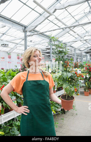 Femme shop assistant holding tomato plant in garden centre, Augsbourg, Bavière, Allemagne Banque D'Images