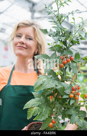 Portrait de femme shop assistant holding tomato plant in garden centre, Augsbourg, Bavière, Allemagne Banque D'Images