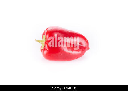 Poivron rouge isolé sur fond blanc Banque D'Images