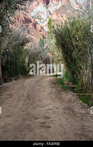 Les troupeaux d'une femme ses moutons le long d'un chemin de terre entre les communes de la région de Luribay, Bolivie, Amérique du Sud Banque D'Images