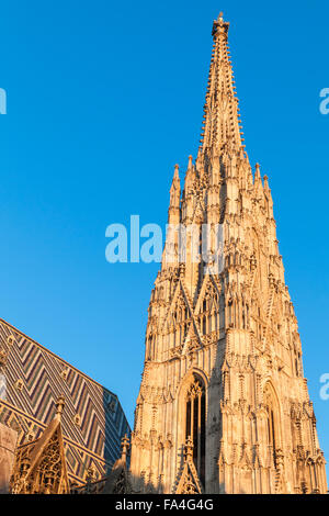 Flèche de la cathédrale St Stephen ou Stephansdom de Vienne, Autriche Banque D'Images