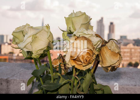 Séché, des roses blanches en premier plan avec toits de Londres en arrière-plan Banque D'Images