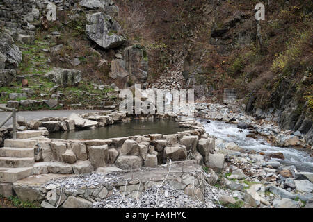 Jigokudani Yaen-koen - la neige Parc du singe, Yudanaka, Japon - les singes de ne pas visiter les sources chaudes de l'automne Banque D'Images