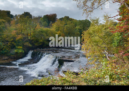 Milieu Aysgarth Falls - Vallées du Yorkshire, England, UK Banque D'Images